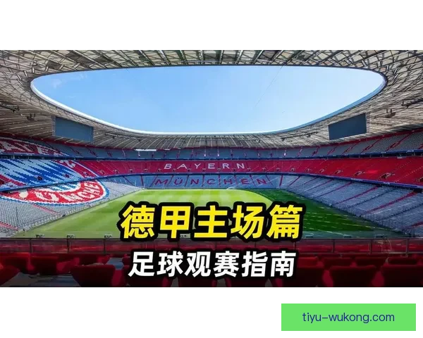 畅享高清在线足球直播赛事平台实时互动体验指南全面解析观赛新方式